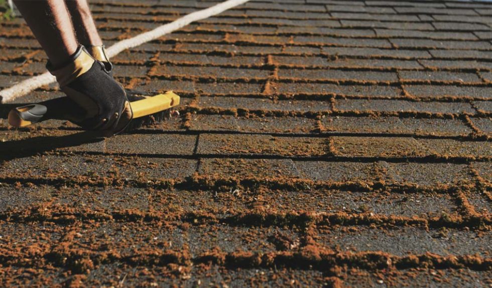 Roof Cleaning Service All About Service